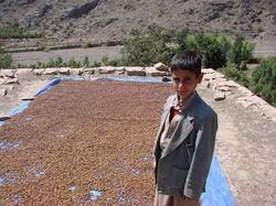 yemen_RooftopDryingInBaniMatar.jpg