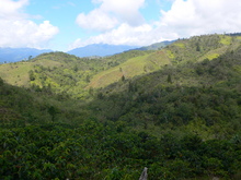 09農園視察 134.JPG