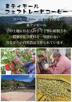 A6東ティモールコーヒーチラシ表