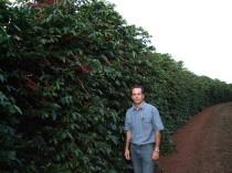 農園内の一部のエリアで赤く色付き始めている