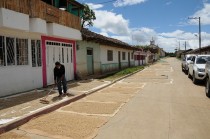 自宅前で乾燥させている農家が多かったです