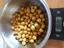 ３.イエローチェリー284ｇ