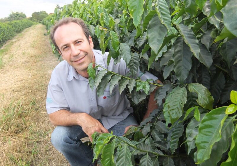 ブラジル「マカウバ・デ・シーマ農園」リモート取材レポート  ‐高品質と安定性を支える背景に迫る‐