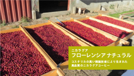 20151020florencianews