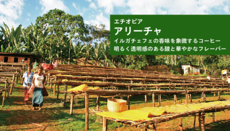 20171212_Aricha_news