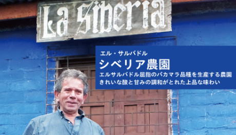 20180222_elsalvador_news