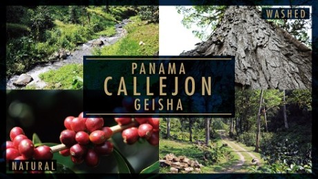 20180404_CallejonGeisha_news