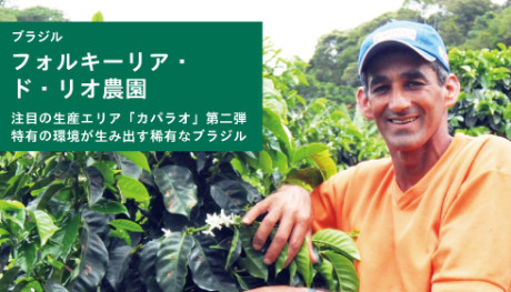 20181128_ForquilhadoRio_news