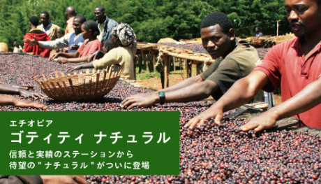 20181212_gotiti_news