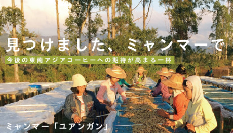 20190115_Ywangan_NEWS