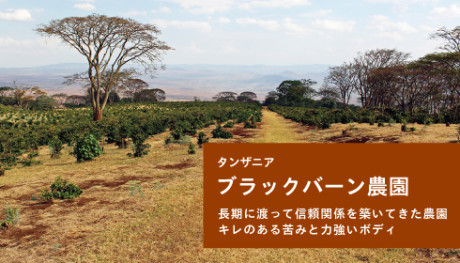 20190220_blackburn_NEWS