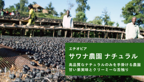 20190410_sawana_NEWS