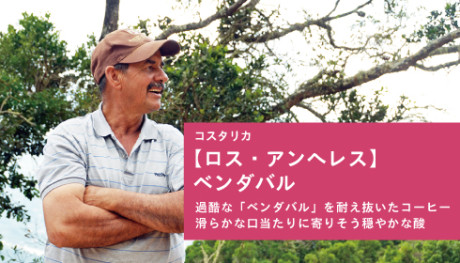 20190508_vendaval_NEWS