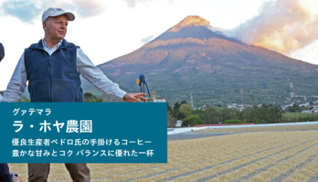 20190724_lahoya_NEWS