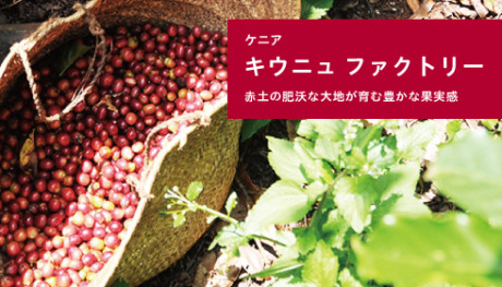 20190829_kiunyu_NEWS