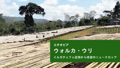 20190829_workawuri_NEWS