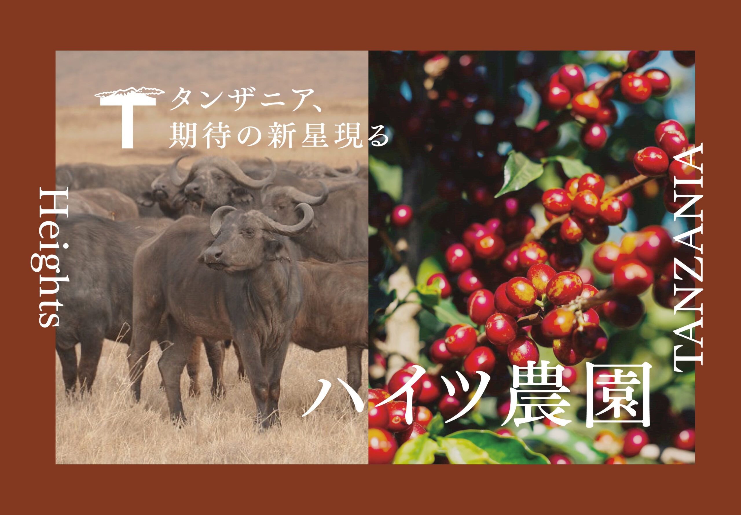 ハイツ農園特集2023