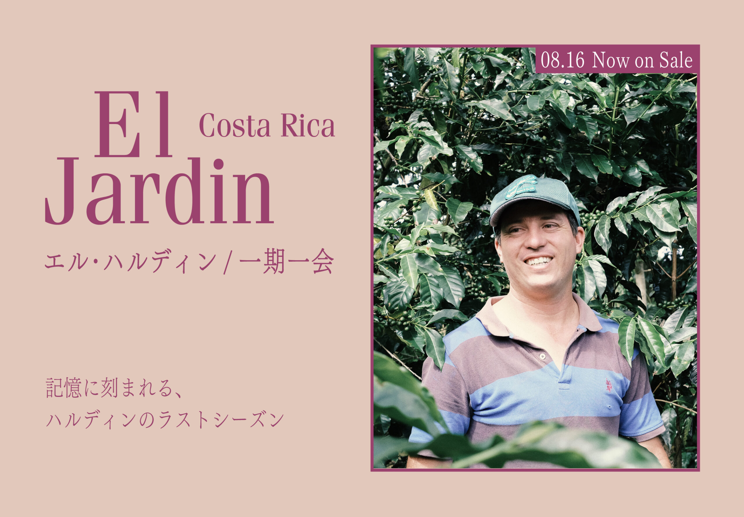 ハルディン特集2023