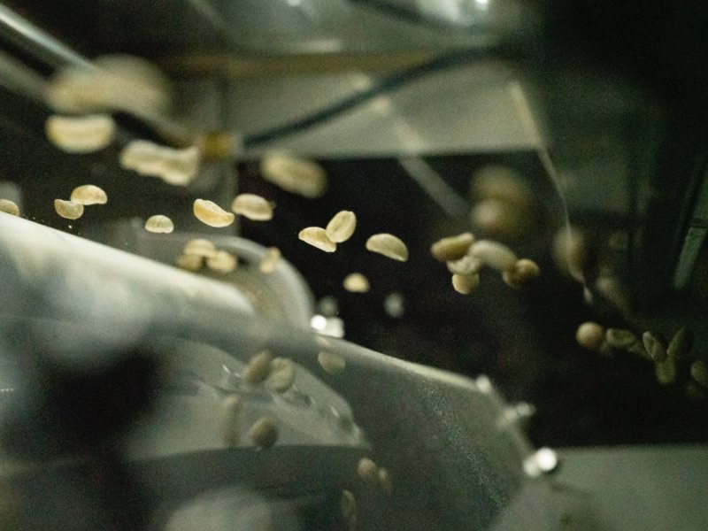 生豆の機械選別